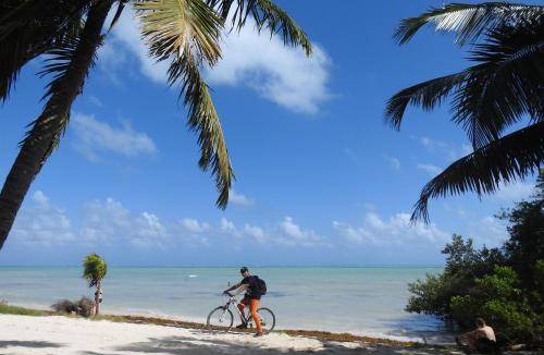 Punta Allen Bed & Breakfast | 28 m² Bed and breakfast ∙ 4 guests