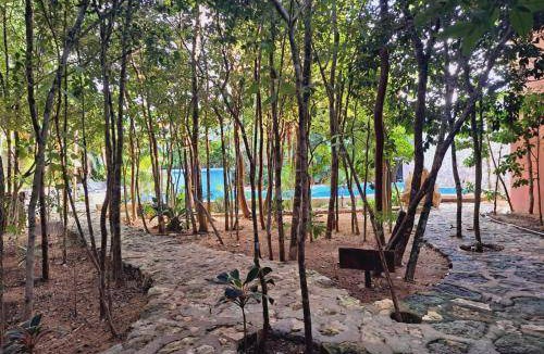 Francisco Uh May Hotel | 30 m² Hotel ∙ 4 guests