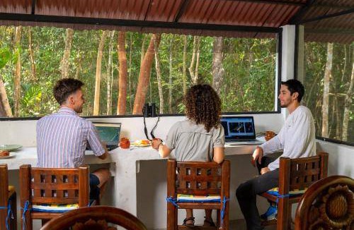 Cozumel Resort | 40 m² Resort ∙ 1 bedroom ∙ 4 guests