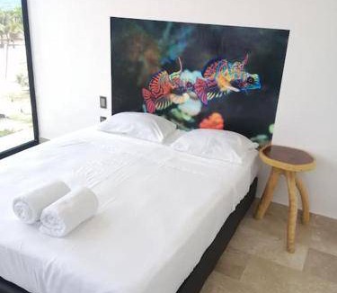 Mahahual Apartment | Apartment ∙ 1 bedroom ∙ 4 guests