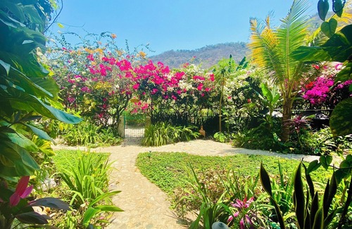 Boca de Tomatlan Apartment | Apt 2-The Bungalow