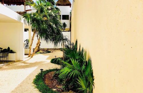 Puerto Morelos Apartment | AQUA GUESTHOUSE 4 ~ STEPS FROM THE BEACH ~ A+ INTERNET