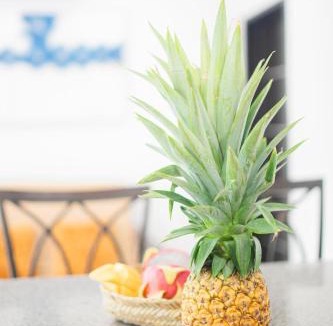 Centro Hotel | Asilé Hotel Boutique