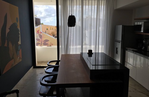 Zazil-ha Apartment | Brand New Luxury Apartment on 5th Ave, Wifi, near beach, Parking & Rooftop Pool
