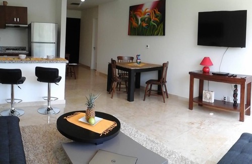 Akumal Condo | Brand new Penthouse in Riviera Maya /Akumal/Bahia Principe resort