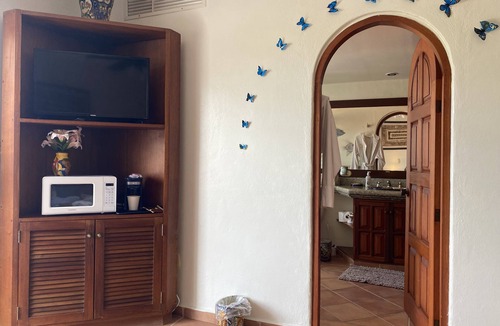 Puerto Aventuras Condo | Breathtaking ocean view, open space condo with private beach in Riviera Maya