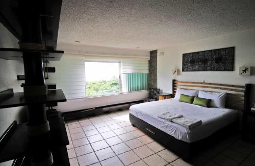 Zona Hotelera Apartment | Brisas Beachfront Studios in Hotel Zone