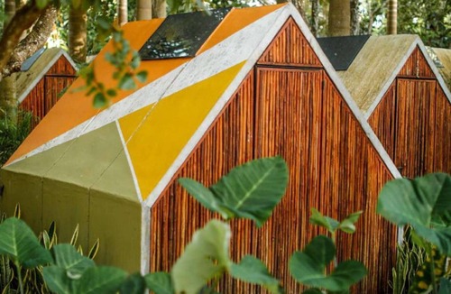 Pedro A. Santos Hotel | Bufo Alvarius Sanctuary