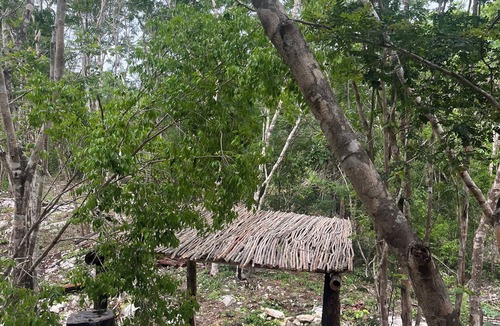 Tulum Cabin | Cabins in the middle of the Mayan jungle in Tulum with cenote type pool