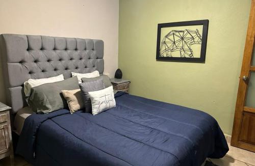 Zona Centro Hotel | Casa 86