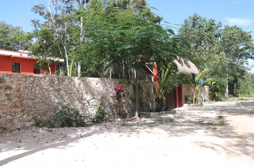 Francisco Uh May House | casa Cactus flower