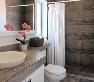 Puerto Aventuras Apartment | Casa Delfìn