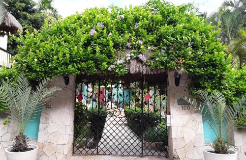 Akumal Apartment | Casa Gatos Suites
