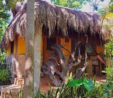 Macario Gomez Bed & Breakfast | Casa Mango