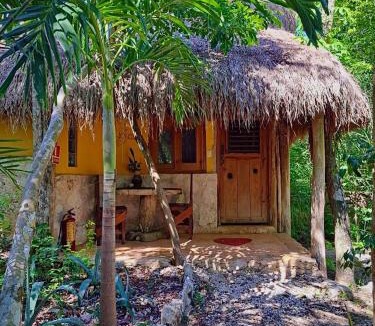 Macario Gomez Bed & Breakfast | Casa Mango