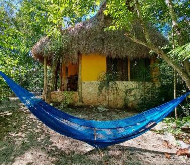 Macario Gomez Bed & Breakfast | Casa Mango