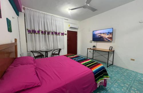 Colonia Independencia Apartment | Casa Margarita Mexican Warmth Await!