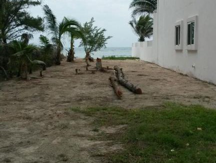 Puerto Morelos Villa | Casa Niwinski