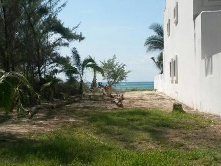 Puerto Morelos Villa | Casa Niwinski