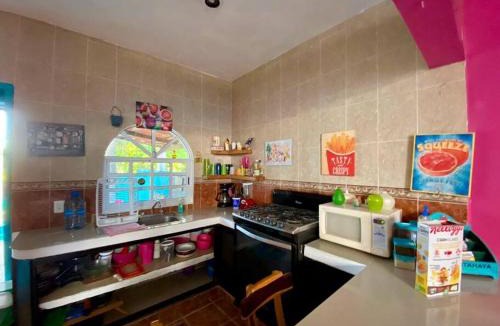 Isla Mujeres House | Casa Pitahaya - 2 Rooms/Private Pool
