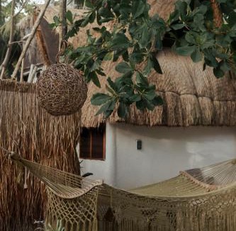 Zona Hotelera Hotel | Casa Violeta