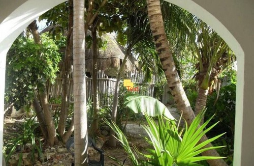 Salinas Apartment | Charming , Economical Studio in wonderful Isla Mujeres with AC, WiFi