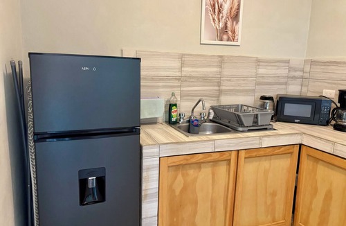 Colonia Adolfo Lopez Mateos Apartment | Charming studio apartment, centrally located with a garden.