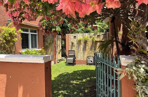 Colonia Adolfo Lopez Mateos Apartment | Charming studio apartment, centrally located with a garden.