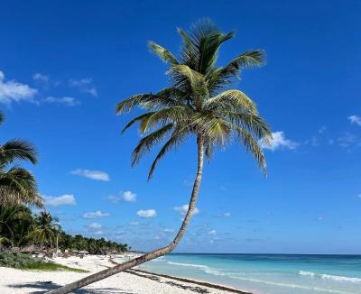 Zona Hotelera Other | Chavez Eco Beach Camping and Cabañas