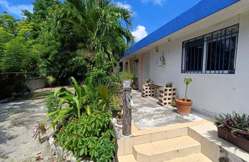Colonia Adolfo Lopez Mateos Apartment | Comfy studio on downtown, 3 blocks to ocean views, calm, safe & quiet