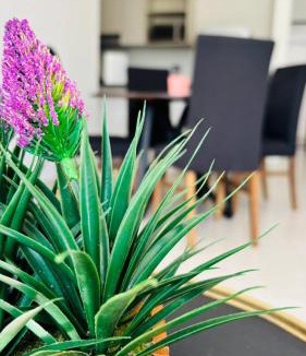 Puerto Juarez Apartment | Departamento Itzae