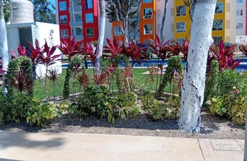 Cancun Apartment | Dreams of Arena in the Jungle of Cancun