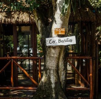 Zona Hotelera Hotel | Eco Bañitas Tulum