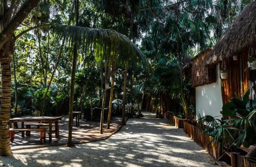 Zona Hotelera Hotel | Eco Bañitas Tulum