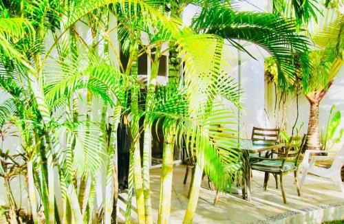 Playacar Bed & Breakfast | Executive Basic Room With Swimming Pool Air Conditioning and Parking
