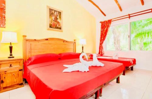 Playacar Bed & Breakfast | Executive Budget Room With Swimming Pool Air Conditioning and Parking