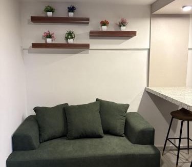 Zona Centro Apartment | Executive Dept