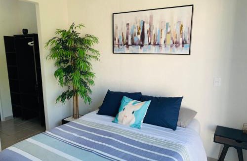 Puerto Juarez House | Franks House Collection Corifa