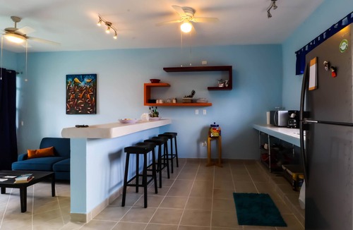 Colonia Andres Apartment | Fully Equipped Art Space - Bicycles/Snorkel Gear - Corpus Christi -Extras