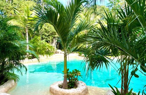 Soliman Bay Other | Glamping Bunga Lotus