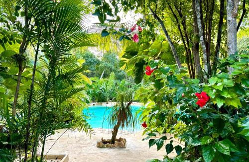 Soliman Bay Other | Glamping Bunga Lotus