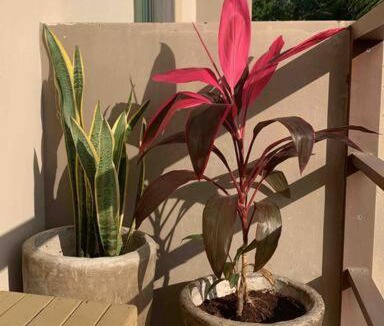 La Veleta Apartment | Great 2 BR Apt - WiFi & Pool - Perfect Location