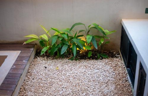Tulum Hotel | Guest INN Home - Elements Suites