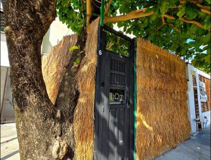 Gonzalo Guerrero Hostel | HOM Hostel Boutique