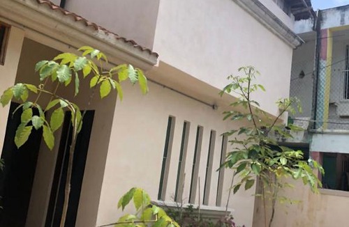 Downtown Cancun House | HOSTAL CASA MADRE NATURALEZA