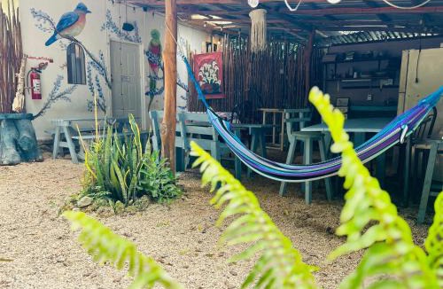 Bacalar Hostel | Hostalito Lahar