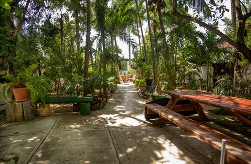 Tulum City Center Hostel | Hostel ∙ 6 guests