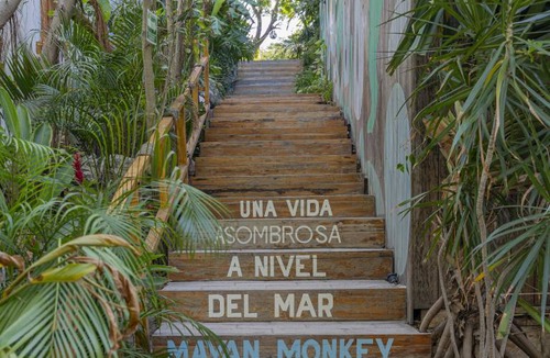 Isla Mujeres Hostel | Hostel ∙ 8 guests