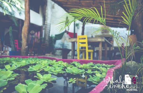 Tulum City Center Hostel | Hostel ∙ 8 guests