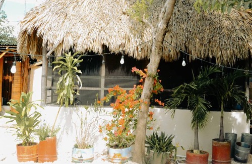 Tulum City Center Hostel | Hostel ∙ 8 guests
